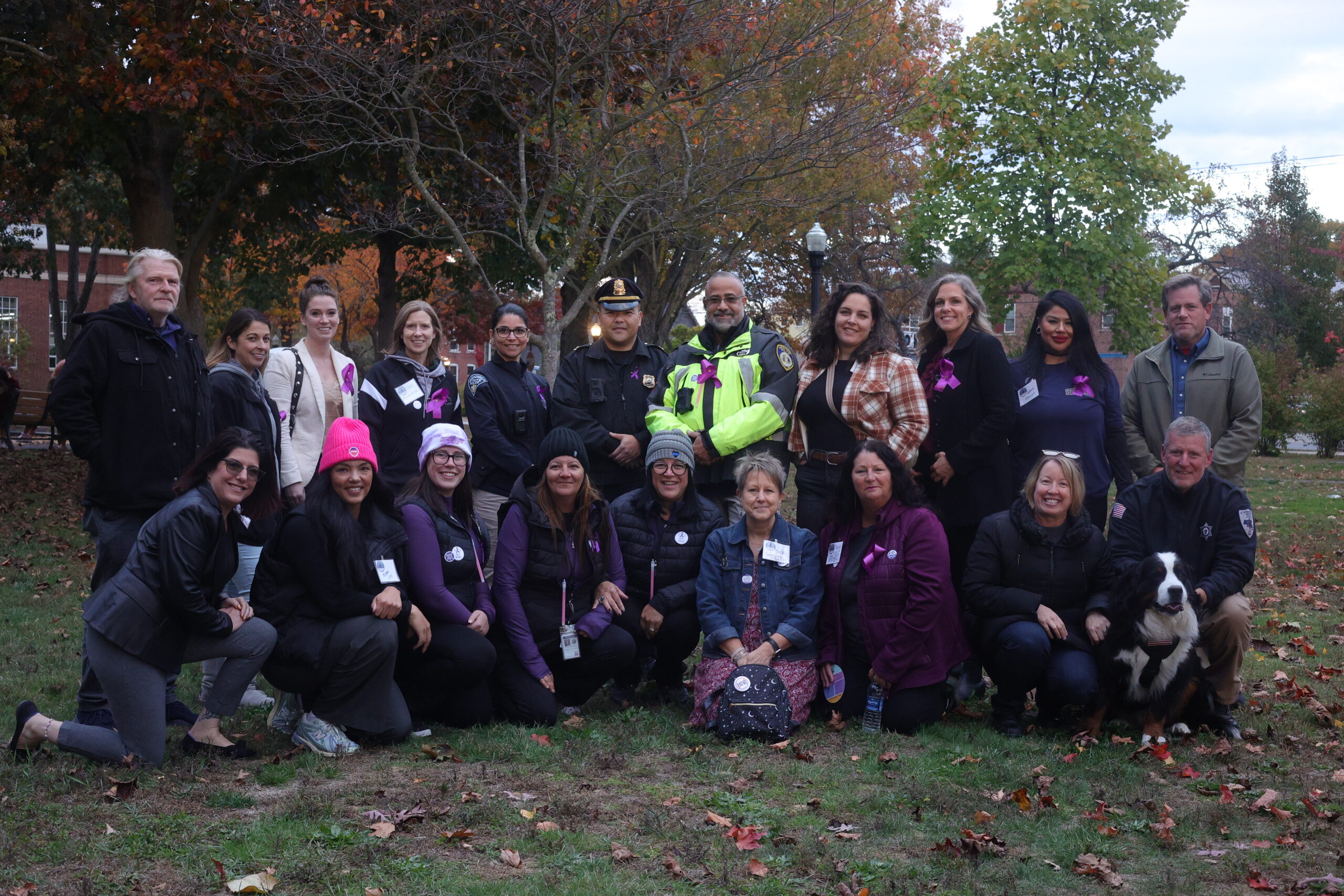 Dv Task Force Domestic Violence Task Force